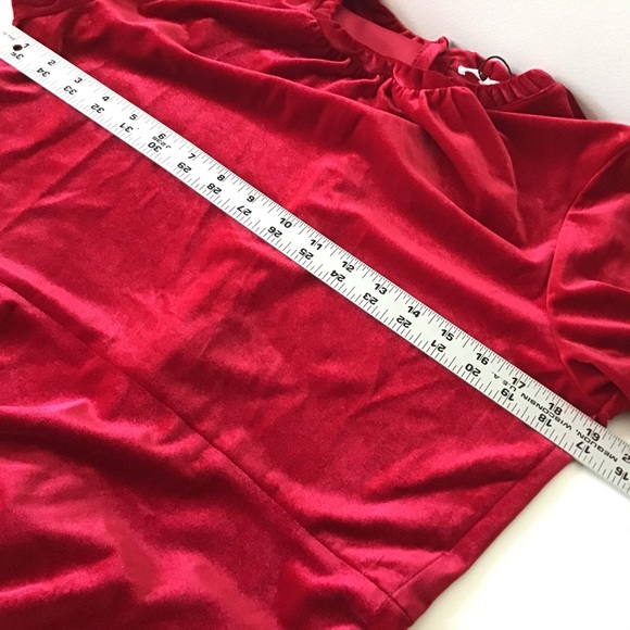 Dress Large Red Poinsettia, Velvet Stretch NWT - Picture 9 of 10